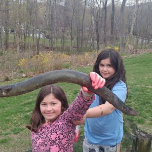 Meet your Posher, Jay